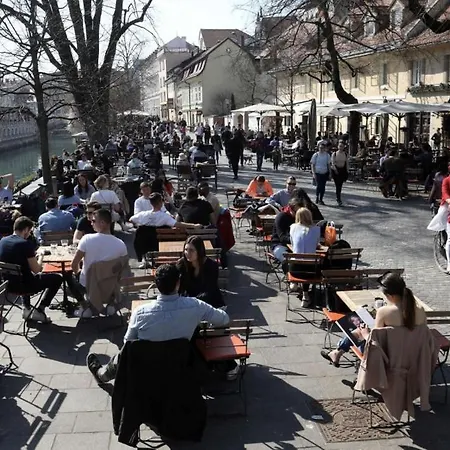 Renovated City Center Apt End Of Sept 23 Apartamento *