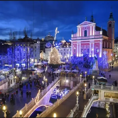 Appartement Renovated City Center Apt End Of Sept 23 Ljubljana