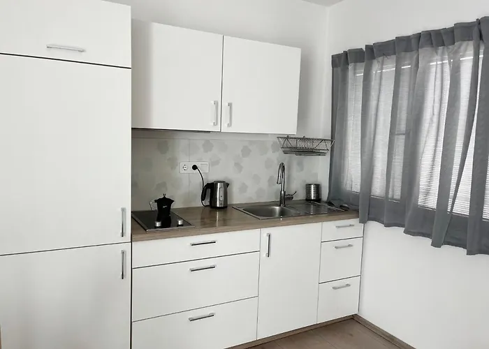 Renovated City Center Apt End Of Sept 23 アパート リュブリャナ